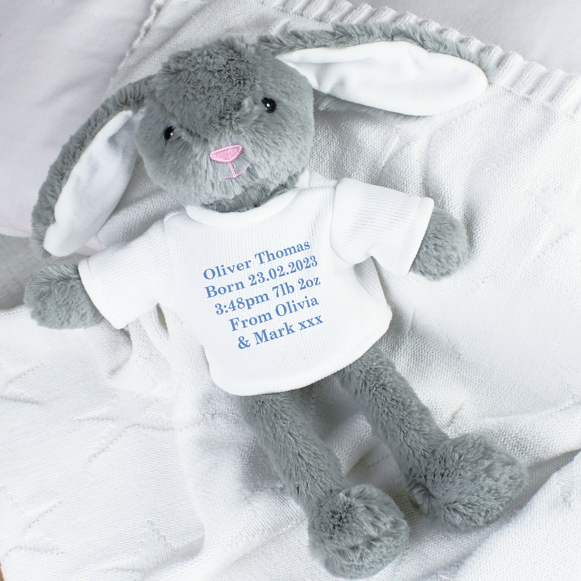 Personalised Message Bunny Rabbit - Blue - Plush Soft Toy - Inspired Creative Gifts