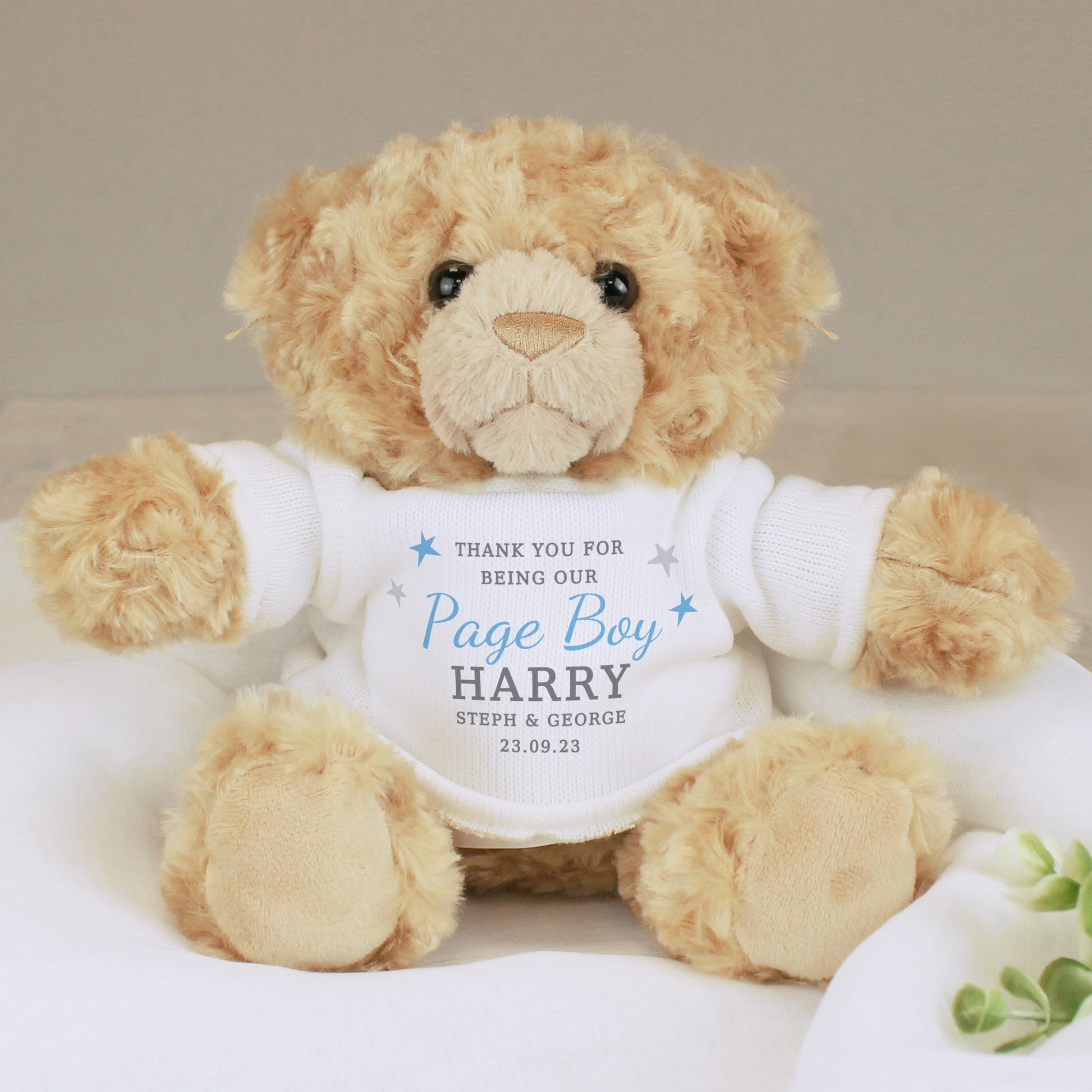 Personalised Boys Free Text Teddy Bear - Inspired Creative Gifts