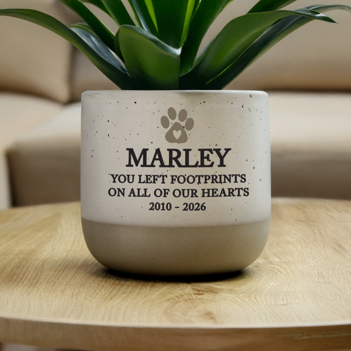 Personalised Pet Memorial Flecked Plant Pot | Memorial Gift