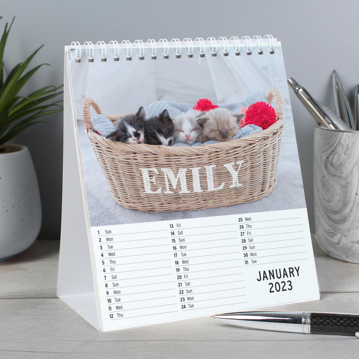 Personalised Cats and Kittens Desk Calendar | Christmas Gift