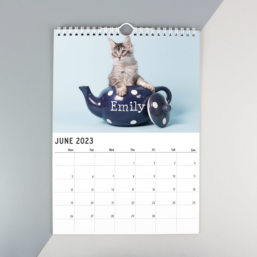 Personalised A4 Cats & Kittens Calendar | Christmas Gift