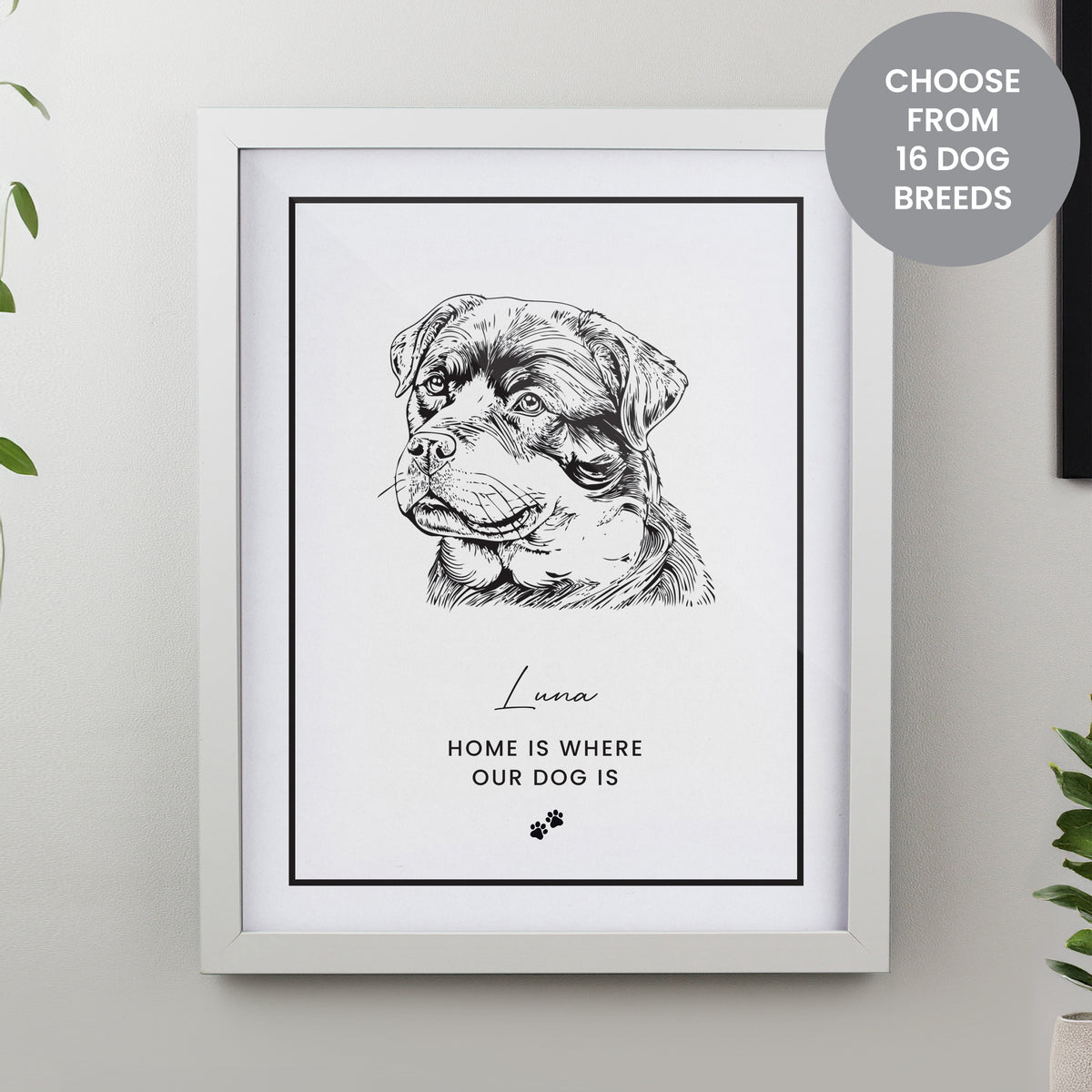 Personalised Dog Breed White Framed Print | Framed Prints