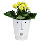Personalised 'Mr Face' Plant Pot | Vases