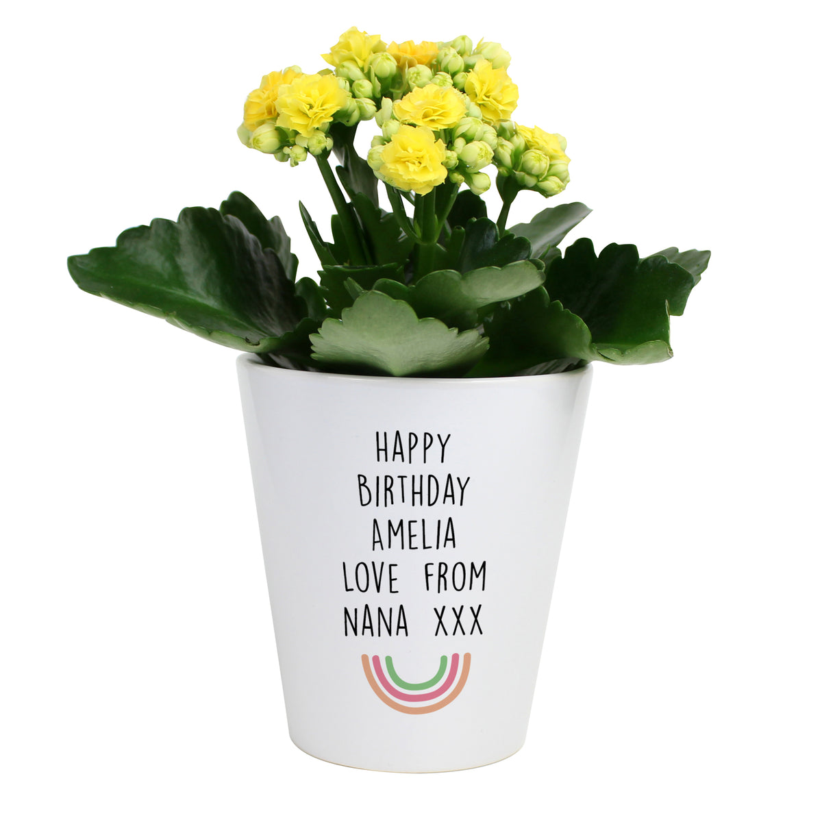 Personalised Rainbow Plant Pot | Vases