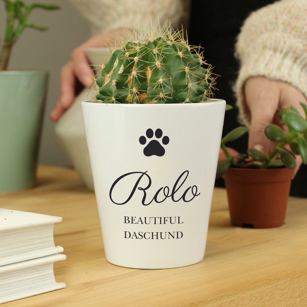 Personalised Paw Print Plant Pot | Vases