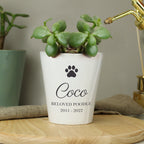Personalised Paw Print Plant Pot | Vases