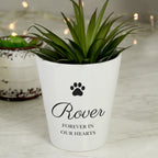 Personalised Paw Print Plant Pot | Vases