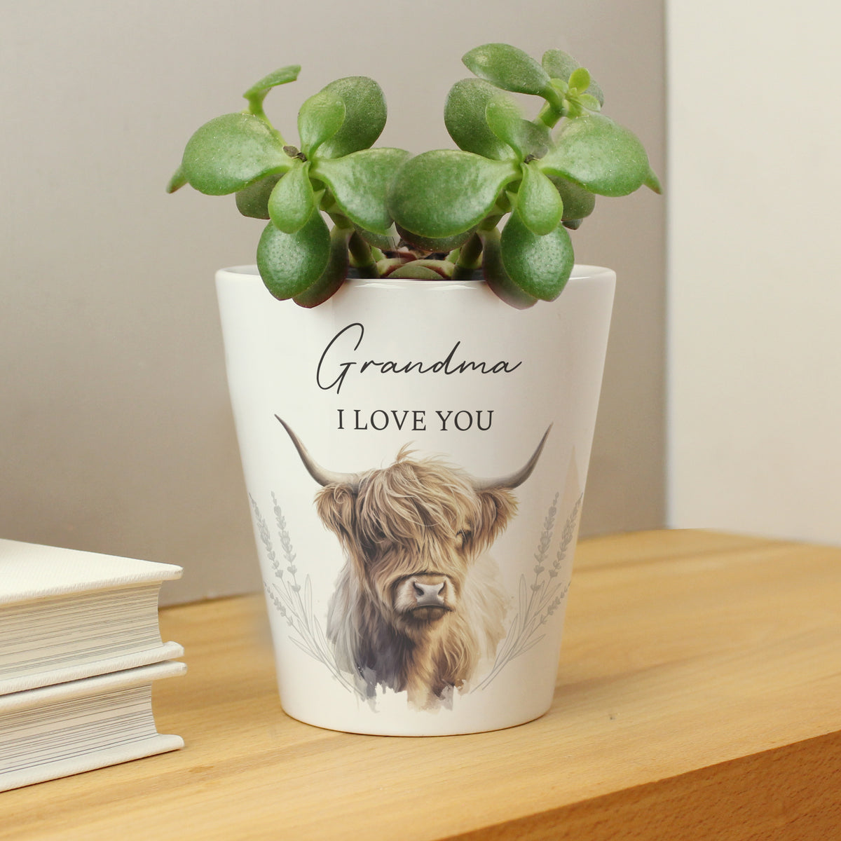 Personalised Highland Cow Plant Pot | Vases | Inspired Creative Gifts