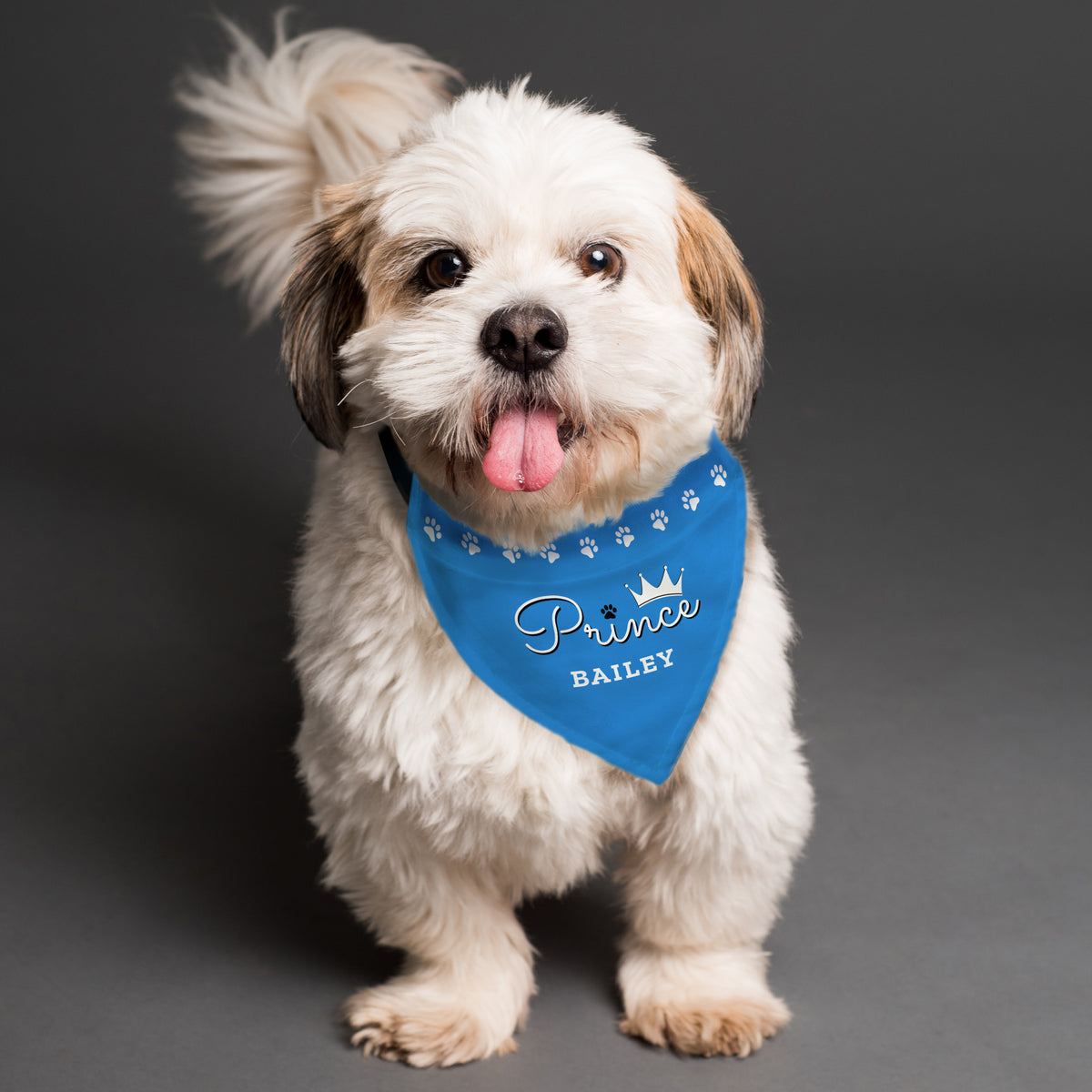 Personalised Prince Dog Bandana for Mother's Day