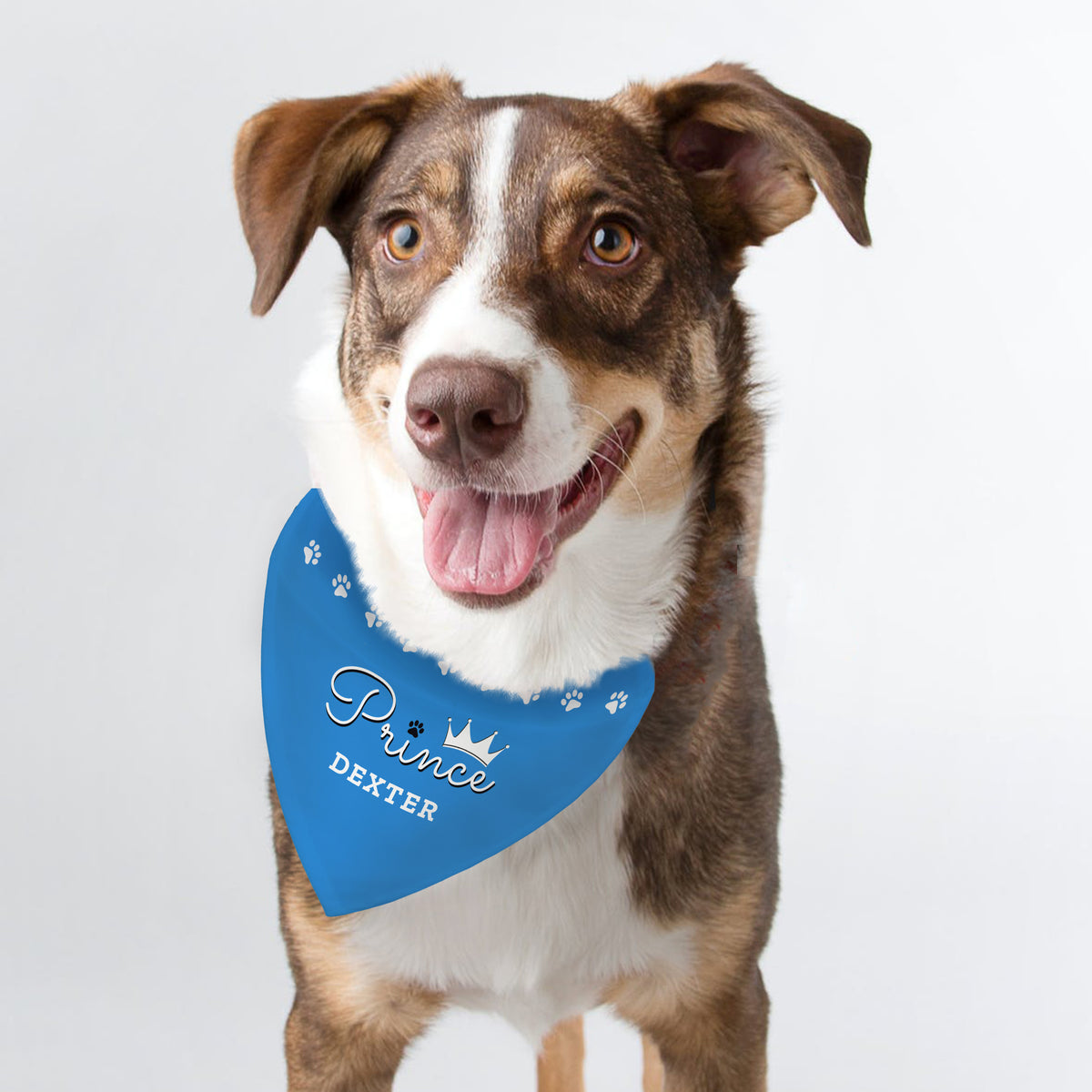 Personalised Prince Dog Bandana for Mother's Day