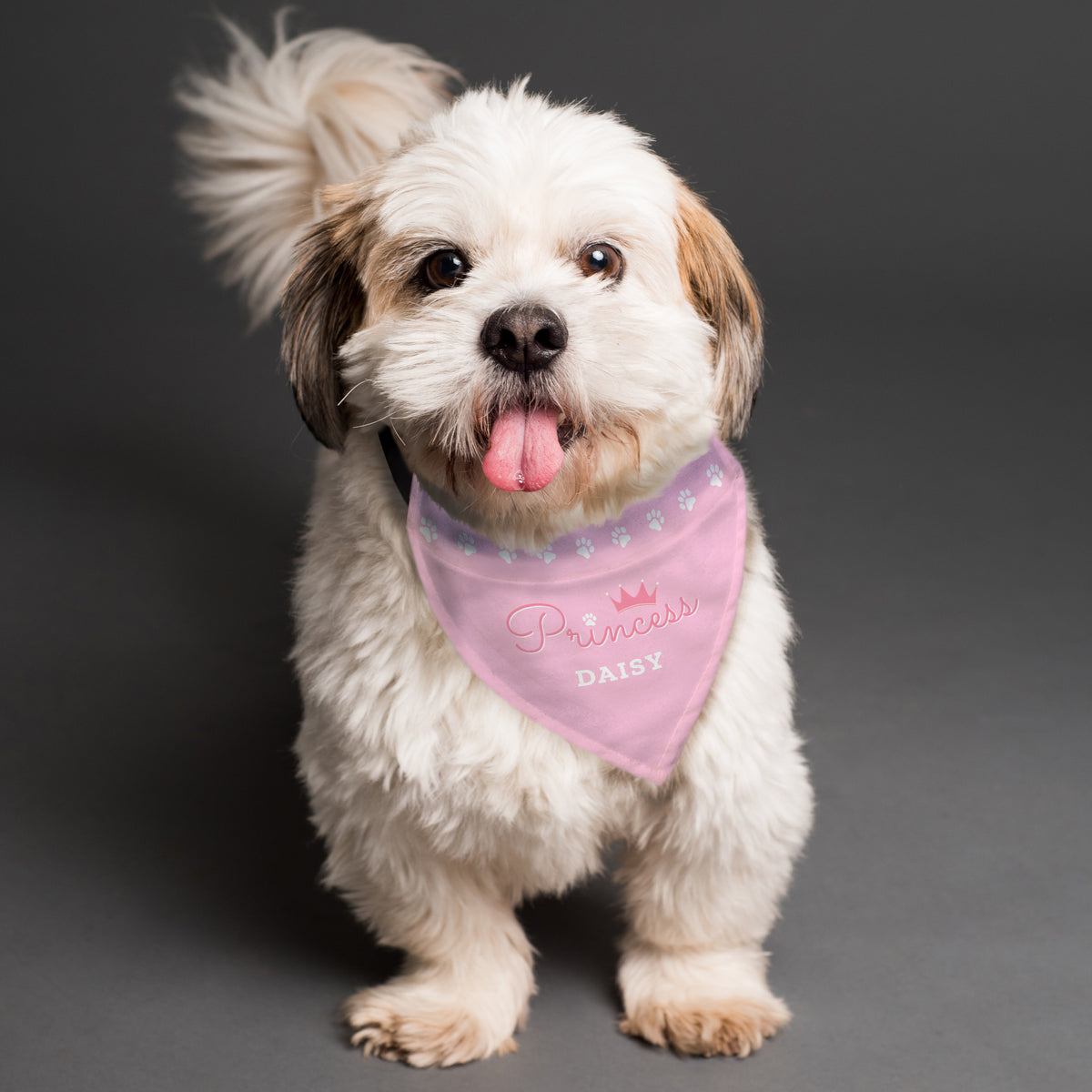Personalised Princess Dog Bandana | Pet Gifts | Mother's Day Gift