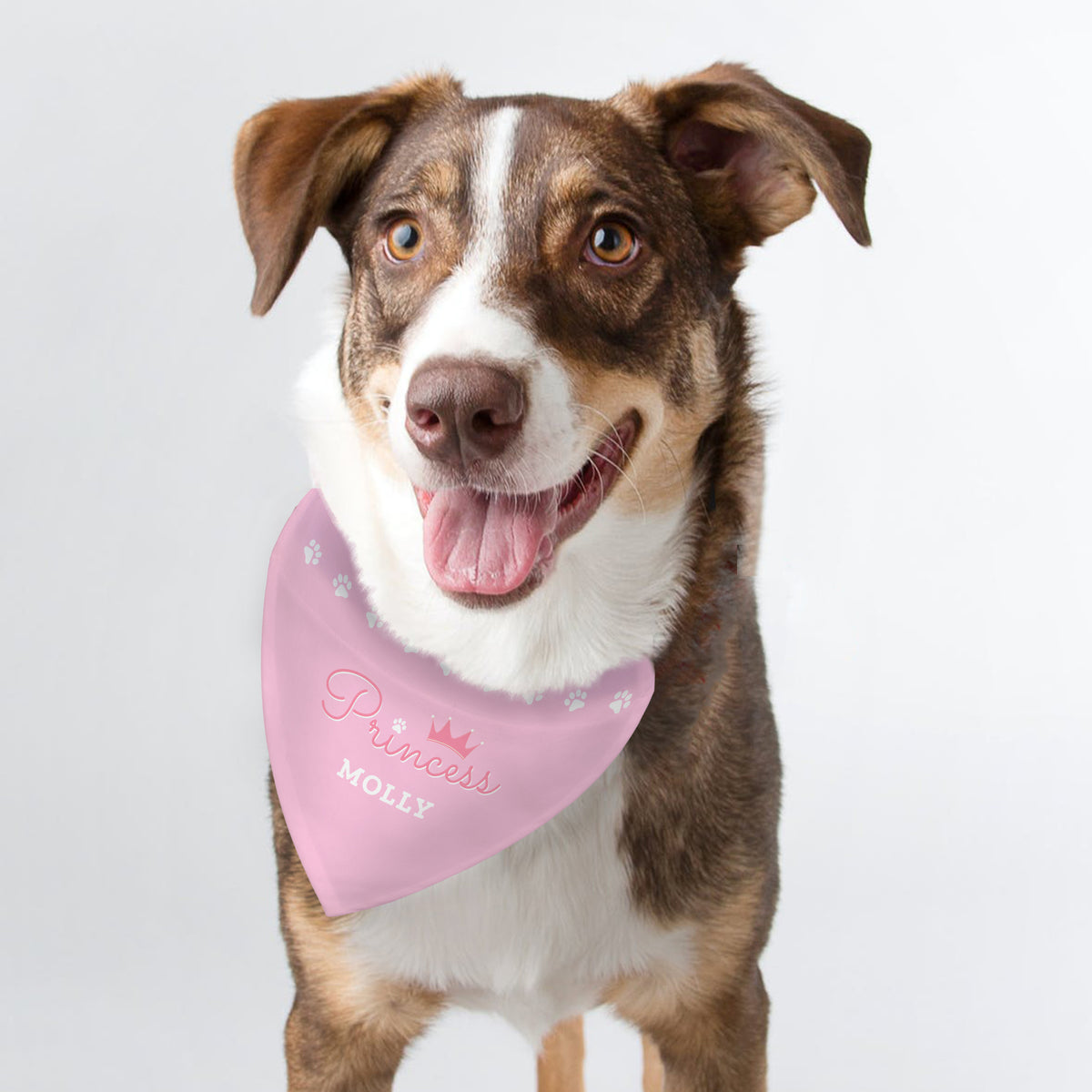 Personalised Princess Dog Bandana | Pet Gifts | Mother's Day Gift