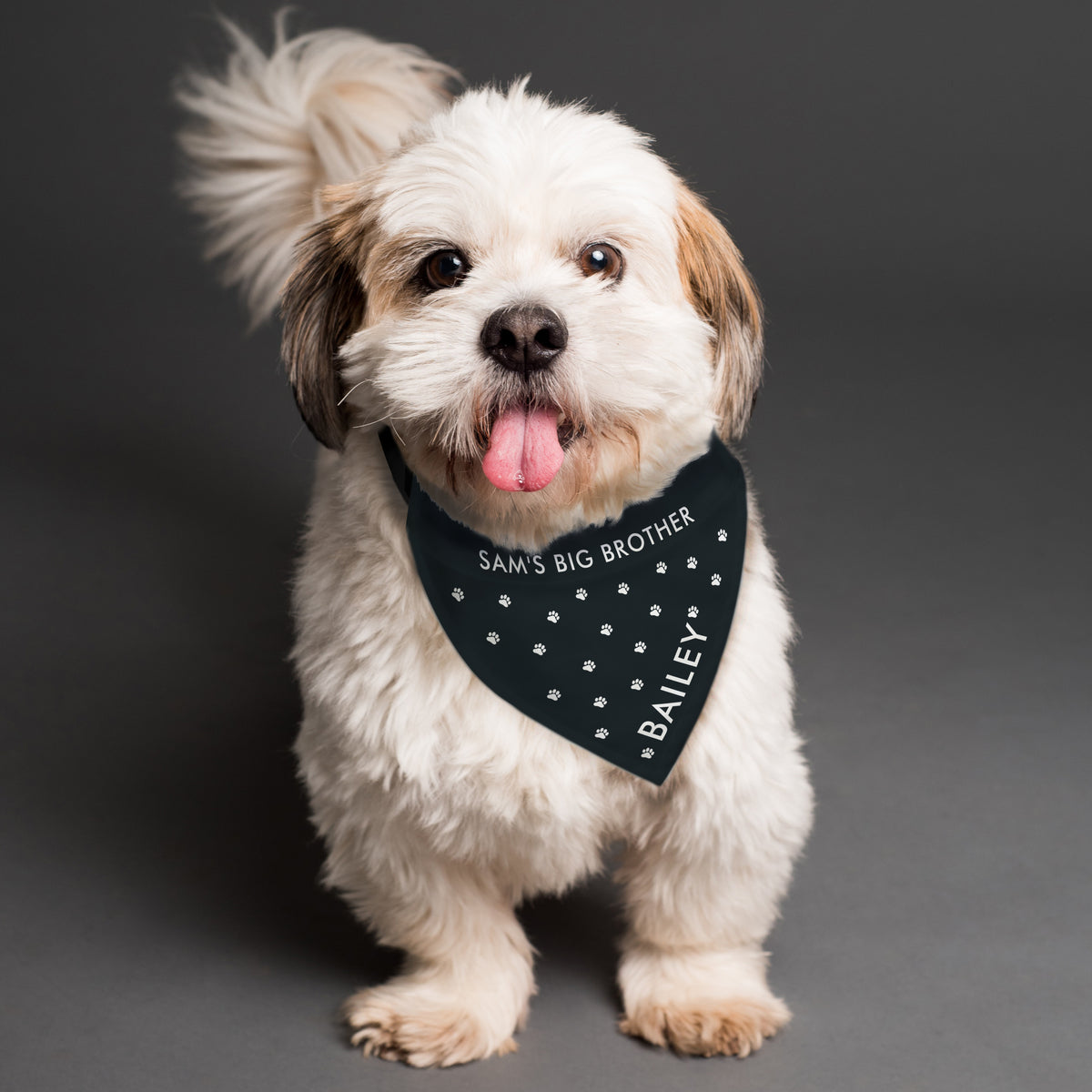 Personalised Paw Print Dog Bandana for Mother's Day