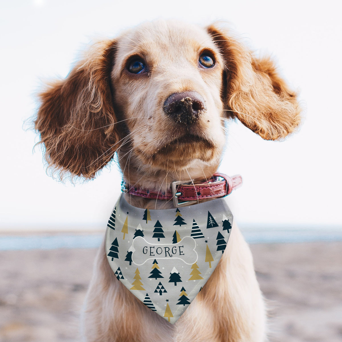 Personalised Christmas Tree Dog Bandana | Pet Gifts