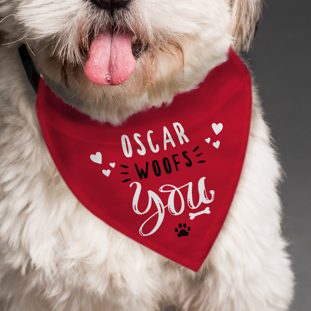 Personalised Woofs You Dog Bandana | Pet Gifts | Inspired Creative Gifts
