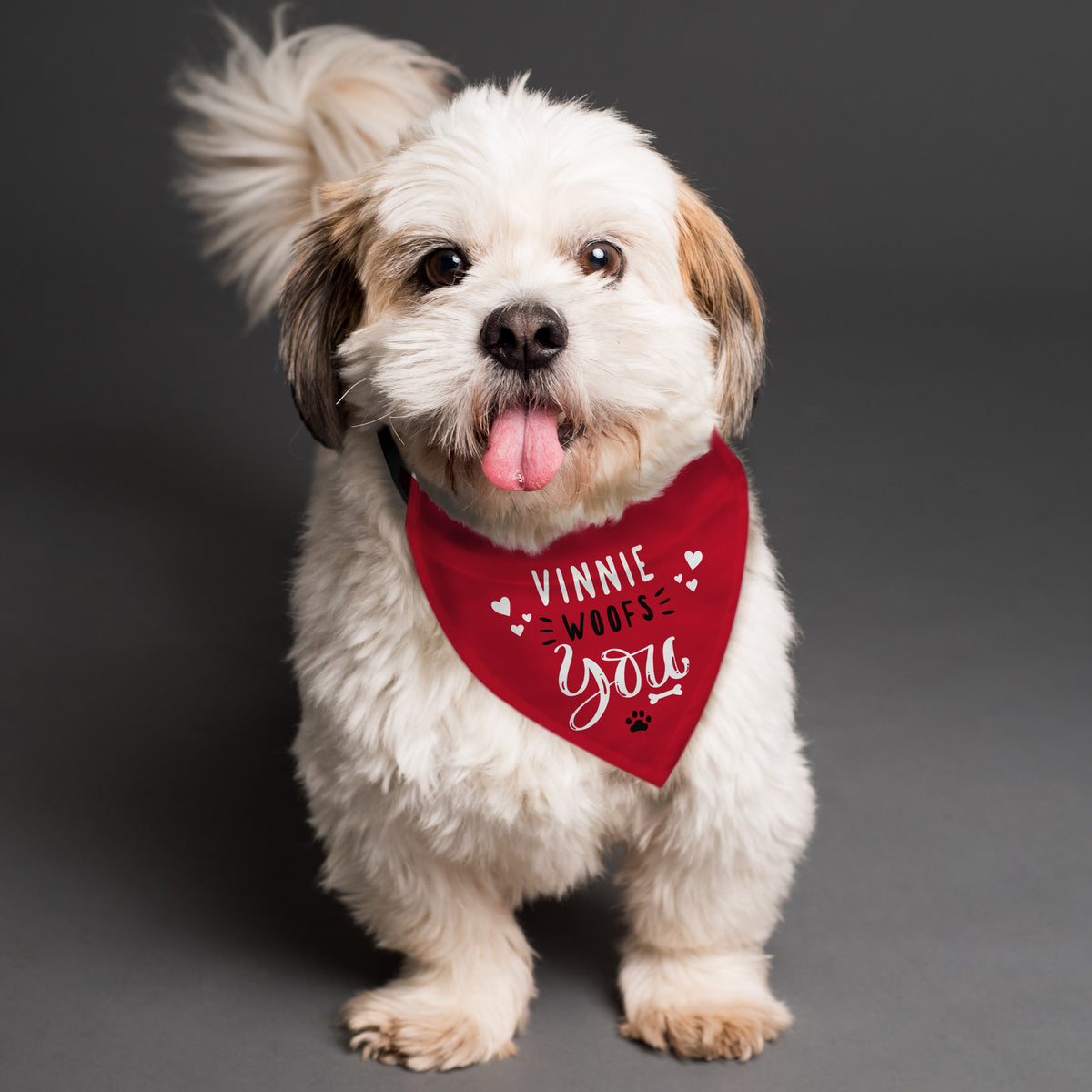 Personalised Woofs You Dog Bandana | Pet Gifts | Inspired Creative Gifts