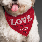 Personalised Love is... Dog Bandana | Mother's Day Gift