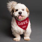Personalised Love is... Dog Bandana | Mother's Day Gift