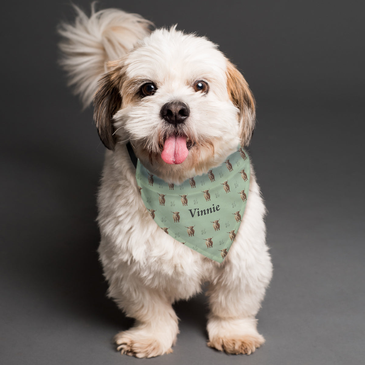 Personalised Highland Cow Dog Bandana | Gift for Her
