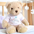 Personalised Luxury Teddy Bear with Little Elephants T-Shirt