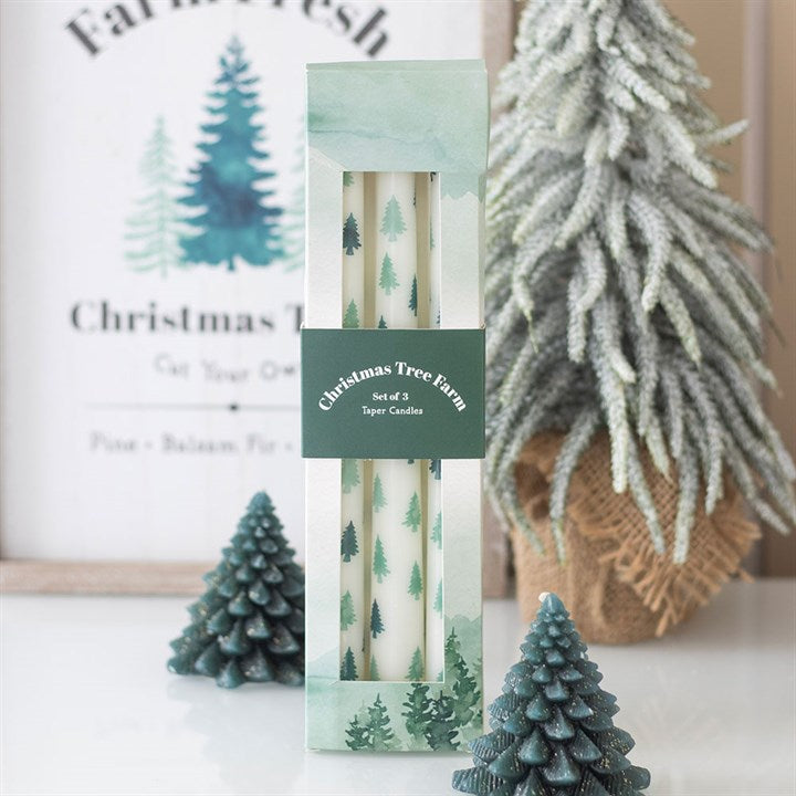 Set of 3 White Fir Tree Taper Candles - Candles - Inspired Creative Gifts
