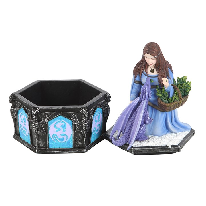 Dragon Friendship Winter Box by Anne Stokes | Trinket, Jewellery & Keepsake Boxes