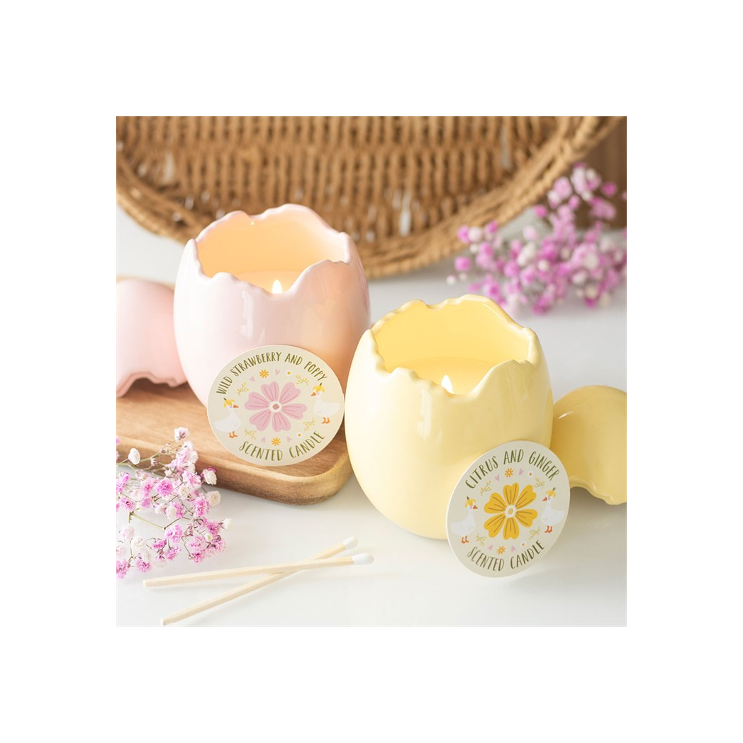 Citrus & Ginger Egg Shaped Candle | Candles | Inspired Creative Gifts