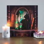Absinthe Light Up Canvas Plaque by Lisa Parker | Inspired Creative Gifts | UK Supplier