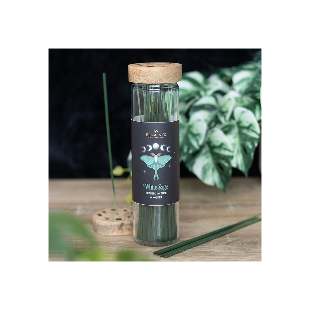 4 Packs of Dark Forest White Sage Incense Sticks | Incense Sticks & Cones