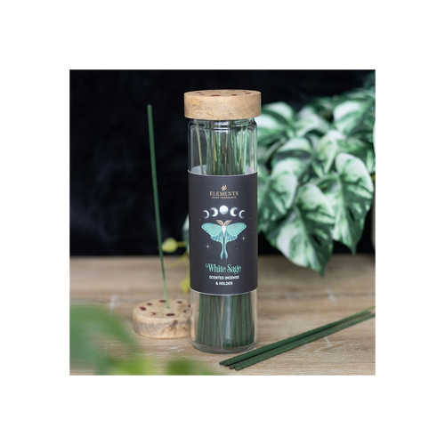 4 Packs of Dark Forest White Sage Incense Sticks | Incense Sticks & Cones