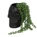 Black Skull Plant Pot | Inspired Creative Gifts | UK Supplier
