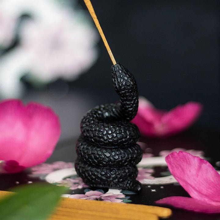Black Snake Incense Stick Holder | Inspired Creative Gifts | UK Supplier