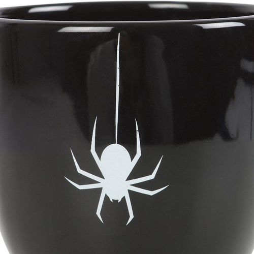 Black Spider Teacup | Inspired Creative Gifts | UK Supplier