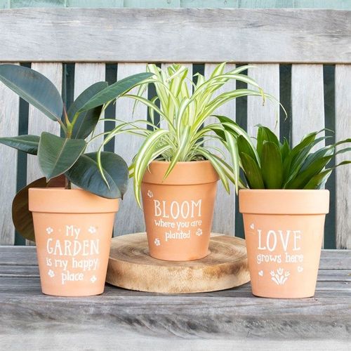 Bloom Where You Are Planted Terracotta Plant Pot | Inspired Creative Gifts | UK Supplier
