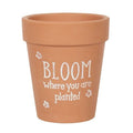 Bloom Where You Are Planted Terracotta Plant Pot | Inspired Creative Gifts | UK Supplier