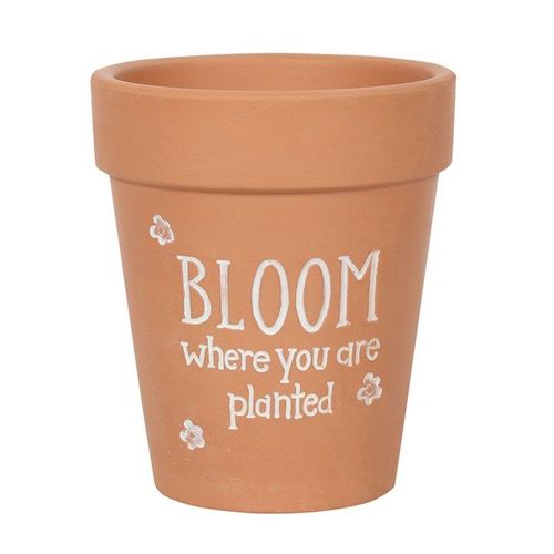 Bloom Where You Are Planted Terracotta Plant Pot | Inspired Creative Gifts | UK Supplier