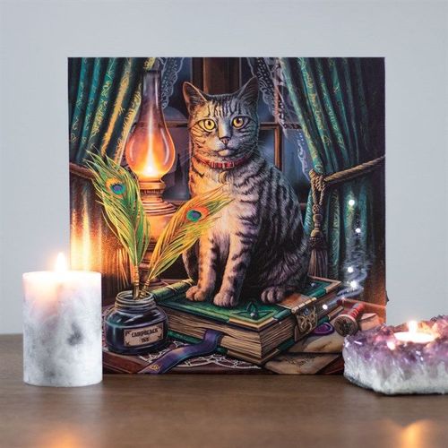 Book of Shadows Light Up Canvas Plaque by Lisa Parker | Inspired Creative Gifts | UK Supplier