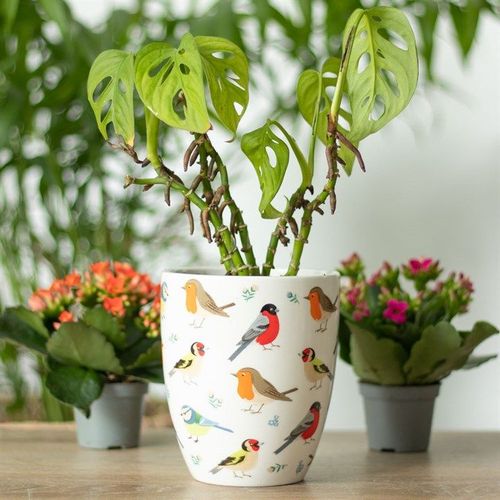 British Garden Birds Ceramic Plant Pot | Inspired Creative Gifts | UK Supplier