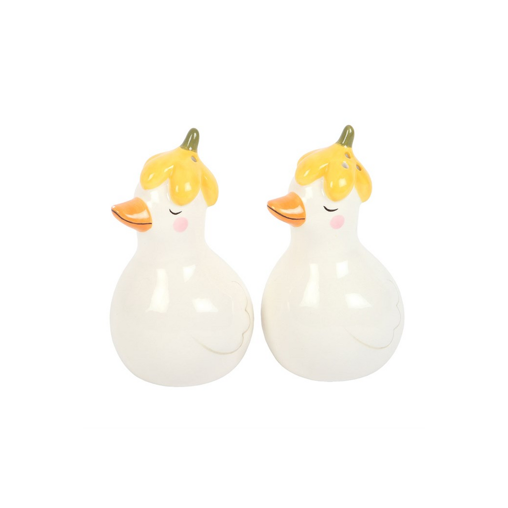 Daisy & Duck Salt and Pepper Shakers | Tableware | Inspired Creative Gifts