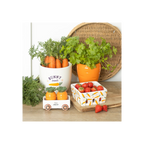 Carrot Shaped Plant Pot with Parsley Seed Balls