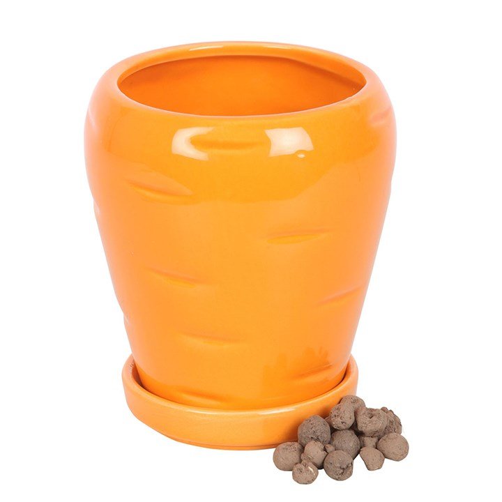 Carrot Shaped Plant Pot with Parsley Seed Balls | Inspired Creative Gifts | UK Supplier