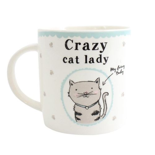 Crazy Cat Lady Boxed Mug | Inspired Creative Gifts | UK Supplier