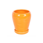 Carrot Shaped Plant Pot with Parsley Seed Balls