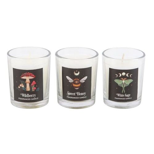 Dark Forest Votive Candle Trio | Inspired Creative Gifts | UK Supplier