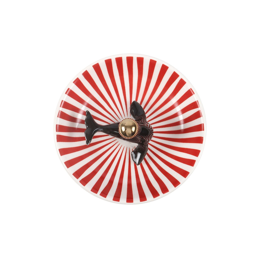 Circus Seal Trinket Dish | Trinket, Jewellery & Keepsake Boxes | Inspired Creative Gifts