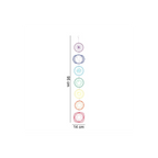 Chakra Wall Hanging | Wall Art | Inspired Creative Gifts