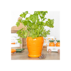Carrot Shaped Plant Pot with Parsley Seed Balls
