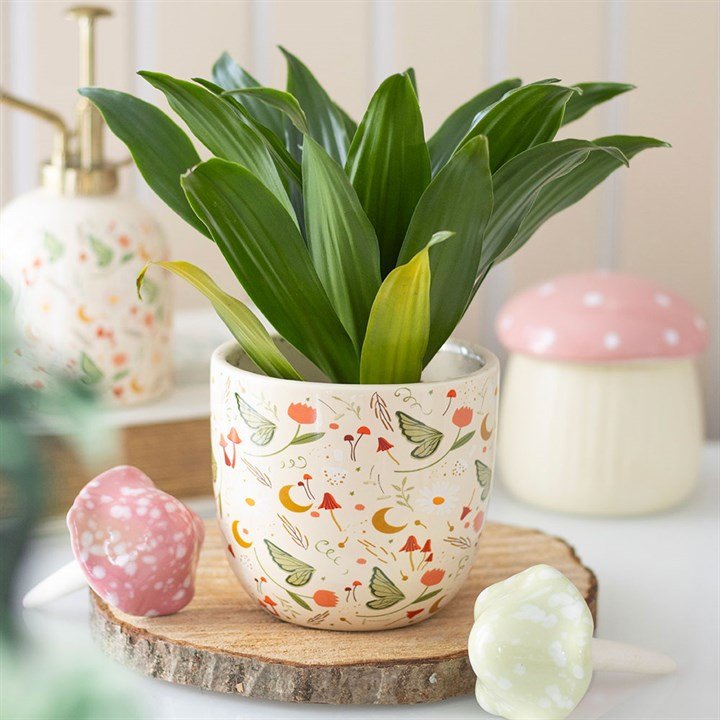Fairy Folklore Print Plant Pot | Inspired Creative Gifts | UK Supplier