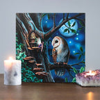 Fairy Tales Light Up Canvas Plaque by Lisa Parker | Inspired Creative Gifts | UK Supplier