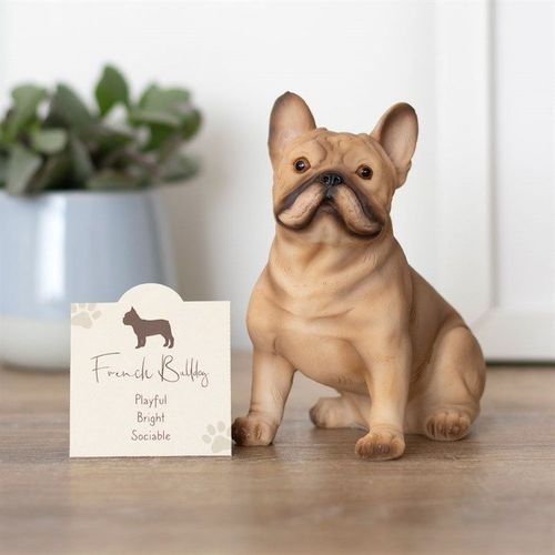 French Bull Dog Ornament | Inspired Creative Gifts | UK Supplier